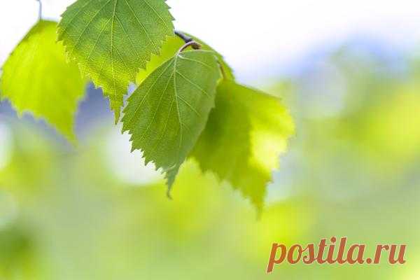 proxy.imgsmail.ru (600×400)