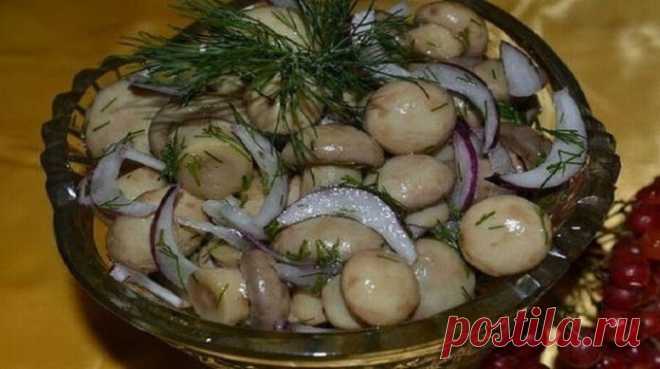 Быстрые малосольные шампиньоны - Очень вкусно