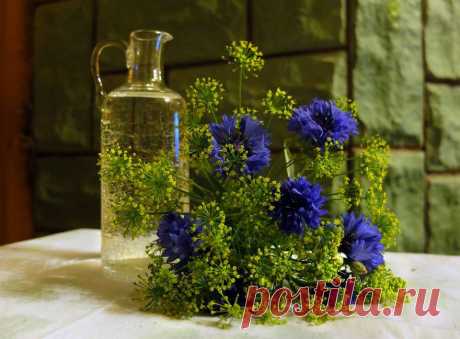 (2) Магазин садовода