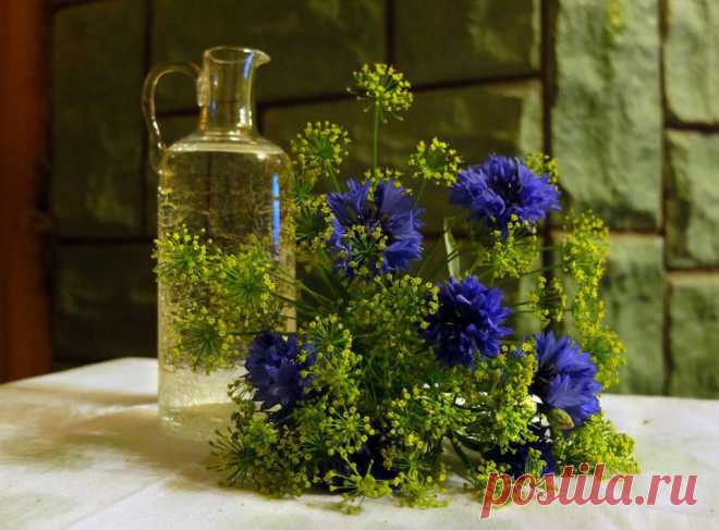 (2) Магазин садовода