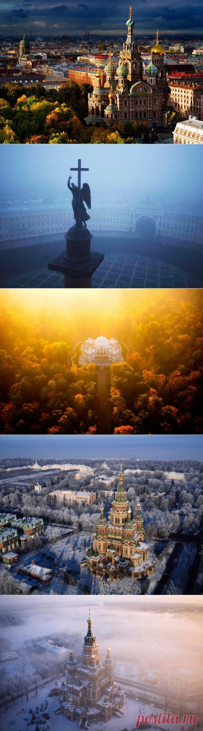 Северная Пальмира / Туристический спутник