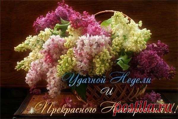 пожелания - 140 фото. Фотографии Елена Данилова.