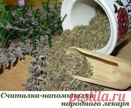 Считалка-напоминалка народного лекаря
Лечит мята невралгию,
Свеколка - гипертонию,
Земляника гонит соль,
А шалфей - зубную боль,
Арбуз кушай при нефрите,
А бруснику - при артрите,
Чтобы было больше сил,
Помни ты про девясил.
Клюква вылечит цистит,
Редька - кашель и бронхит,
Головную боль - калина,
А простуду - чай с малиной.
Печень подлечи рябиной,
Сердце - мятой и калиной,
Чтоб забыть о диабете -
Топинамбур ешь все лето.
Астму вылечи иссопом,
Мочевой пузырь - укропом.
Раны, язвы, геморрой