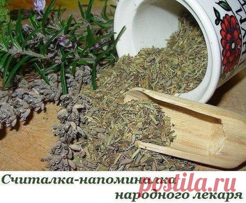 Считалка-напоминалка народного лекаря
Лечит мята невралгию,
Свеколка - гипертонию,
Земляника гонит соль,
А шалфей - зубную боль,
Арбуз кушай при нефрите,
А бруснику - при артрите,
Чтобы было больше сил,
Помни ты про девясил.
Клюква вылечит цистит,
Редька - кашель и бронхит,
Головную боль - калина,
А простуду - чай с малиной.
Печень подлечи рябиной,
Сердце - мятой и калиной,
Чтоб забыть о диабете -
Топинамбур ешь все лето.
Астму вылечи иссопом,
Мочевой пузырь - укропом.
Раны, язвы, геморрой