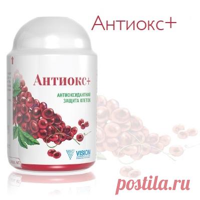 БАД Антиокс плюс Vision (Вижион, Визион, Вижен, Вижин, Вижн), отзывы, цена, купить