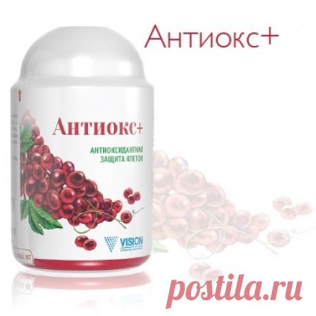 БАД Антиокс плюс Vision (Вижион, Визион, Вижен, Вижин, Вижн), отзывы, цена, купить
