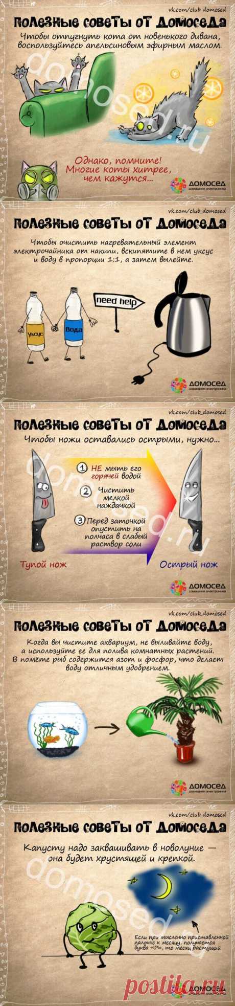 Польза в быту | ВСЕГДА В ФОРМЕ!