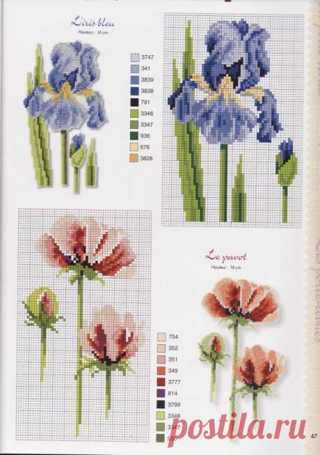 Autour du jardin (47).jpg
