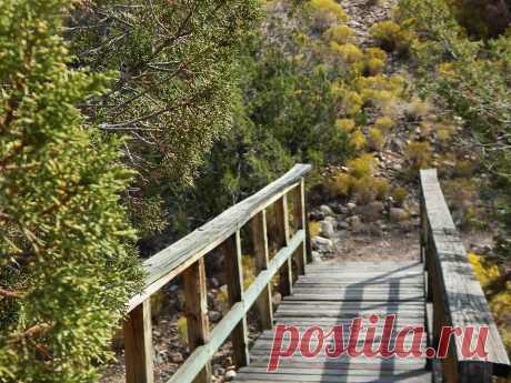 Мостик в детство (1) Loni Hoots