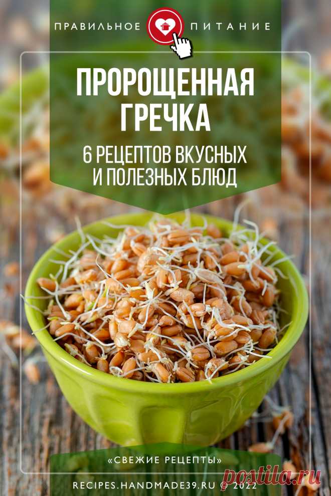 Пророщенная гречка: 6 рецептов вкусных и полезных блюд. Пошаговые рецепты приготовления полезных блюд из пророщенной гречки для повседневного питания. Советы по здоровому питанию. Рецепты для похудения. Польза проростков гречки. #свежиерецепты #рецепт #гречка #пп #правильнеопитание