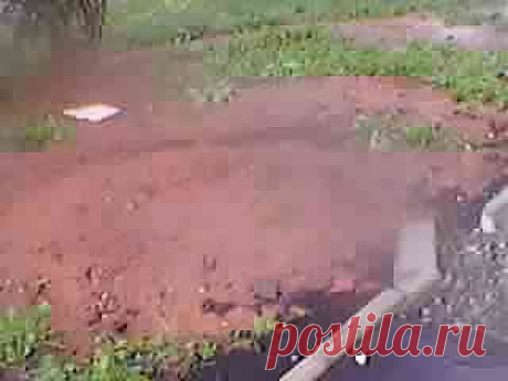 Купил наш Саша Киа-Моторс. Тот вдруг нечаянно впал в штопорс.
И Саша вдруг оказался во тьме. Он поздно, но понял, что он утонул.. В дерьме..