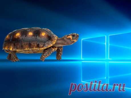 Что надо сделать с Windows 10 сразу после установки