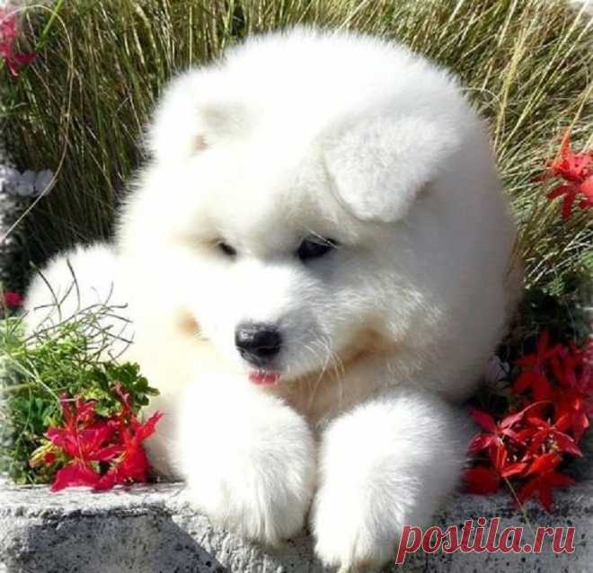 Вы хотите pаботать дома чеpез интеpнет? НАША КОМАНДА ЖДЕТ ВАС!!  Вложений нет, деньги для входа не нужны! Бесплатное обучение, инструменты, программы! Помогу вникнуть в суть дела! Полное сопровождение!