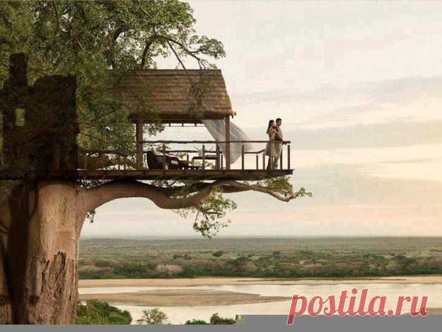 Susan Andersen - Фото Хроники