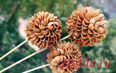 Букеты из орехов (79 фото) - пошаговые инструкции создания букетов для мужчин и женщин