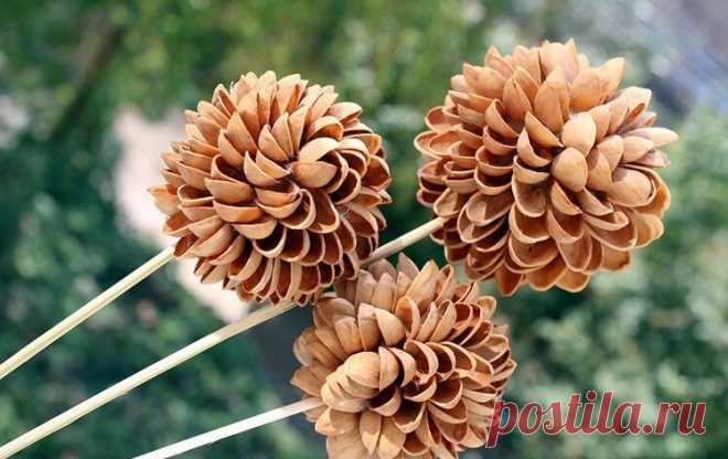 Букеты из орехов (79 фото) - пошаговые инструкции создания букетов для мужчин и женщин