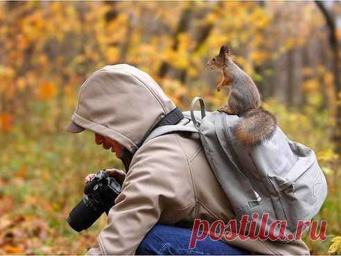 То, что ты ищешь всю жизнь, может быть ближе, чем ты думаешь...