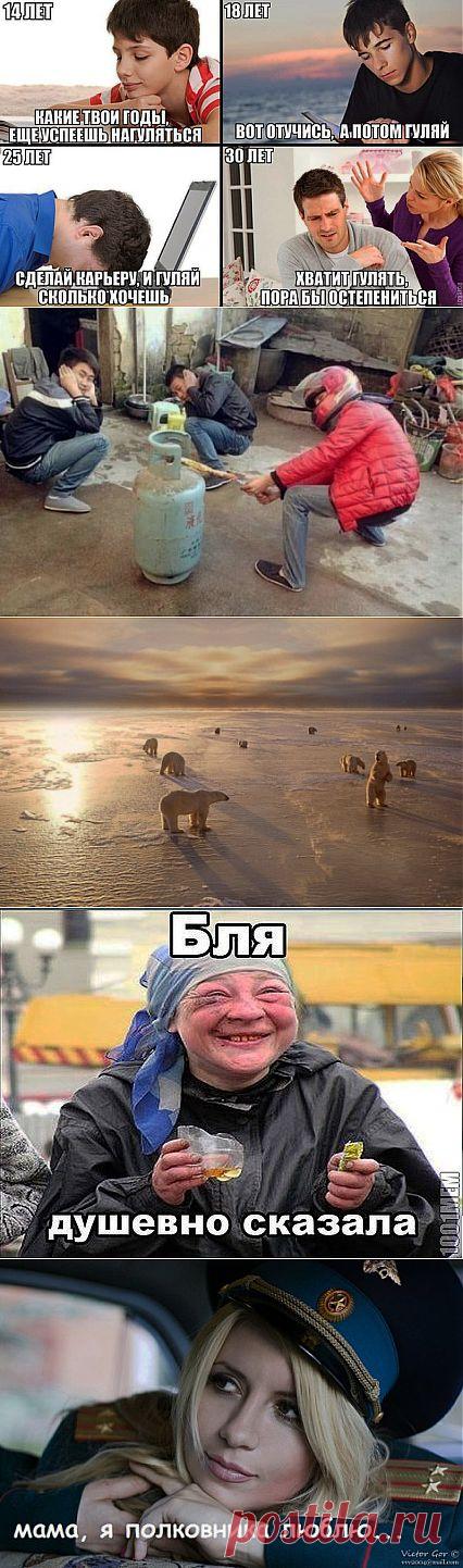 Прикольные картинки на злобу дня))) | ОБОРЖАКА ;)