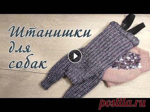 Как связать штанишки для собак, вязание спицами Как связать штанишки для собаки спицами. Это презентация платного мастер класса. Мастер класс состоит из 5 частей. Всё очень подробно от первой петель...