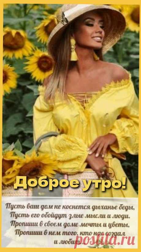 Изображение пина-истории