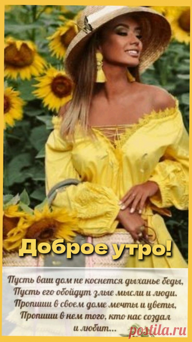 Изображение пина-истории