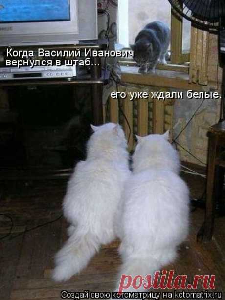 ЗАСАДА | KotoMail.ru