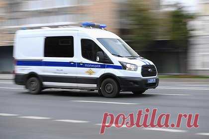 В Подмосковье задержали несколько десятков мигрантов после массовой драки