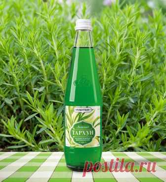 Любимый вкус детства. Вот как самому приготовить полезную газировку 
Популярные в СССР напитки «Тархун» и «Байкал» изготавливаются на травах.


Для газирования воды понадобится специальное устройство - сифон.

Быстро освежиться, утолить жажду и притупить чувство голод…