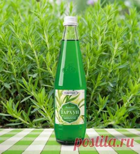 Любимый вкус детства. Вот как самому приготовить полезную газировку 
Популярные в СССР напитки «Тархун» и «Байкал» изготавливаются на травах.


Для газирования воды понадобится специальное устройство - сифон.

Быстро освежиться, утолить жажду и притупить чувство голод…