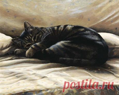 Кошачья нежность, Селия Пайк