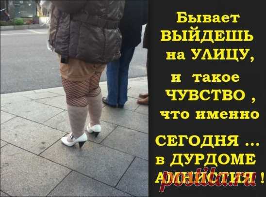(6) Мой Мир@Mail.Ru