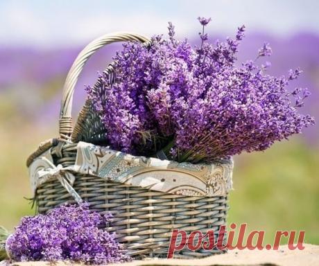 КАК ПРЕВРАТИТЬ НЕГАТИВ В СИЛУ – ~~ВСЯКИЕ ПОЛЕЗНОСТИ ДЛЯ ТЕБЯ!, пользователь Елена **** | Группы Мой Мир