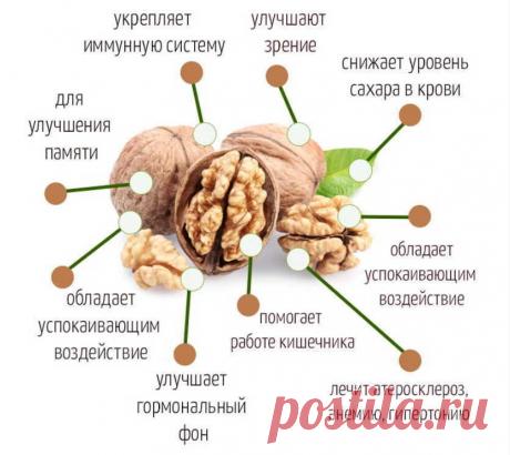 О пользе грецких орехов.На заметку.