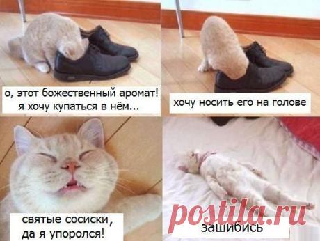 Интересные новости