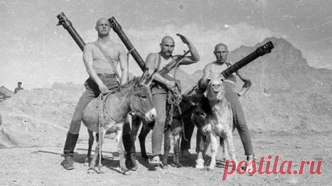 От Индии до Ледовитых вод Сибири
