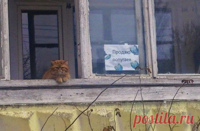 Из России с любовью ... / Всё самое лучшее из