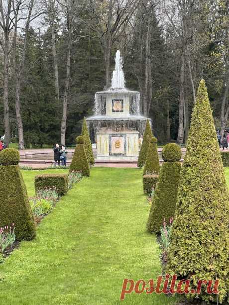 К фонтанам Петергофа — на метеоре (билеты включены) 🧭 цена экскурсии 5850 ₽, 417 отзывов, расписание экскурсий в Санкт-Петербурге
