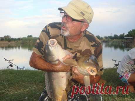 Гороховые бойлы своими руками