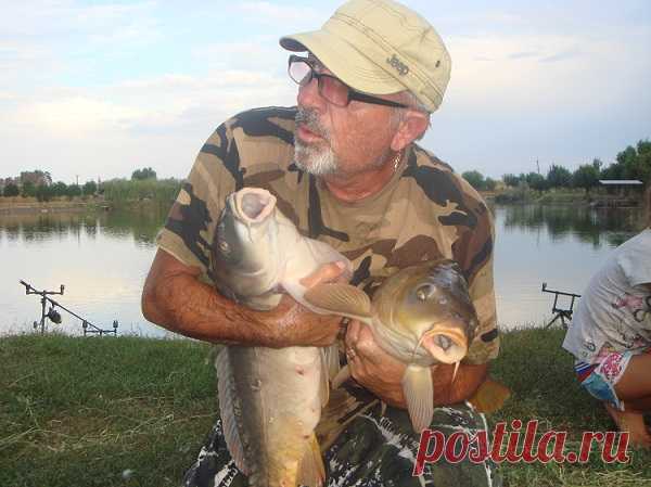 Гороховые бойлы своими руками