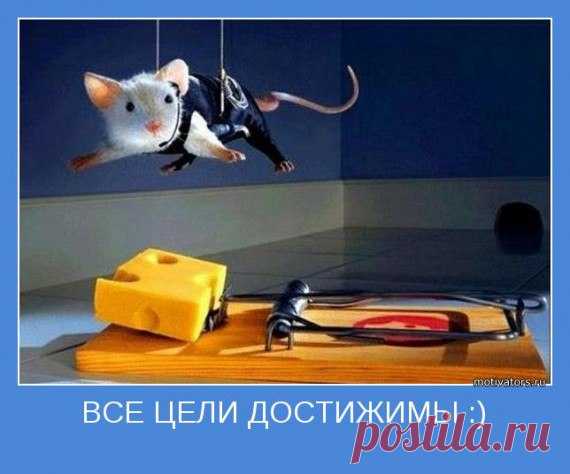 Надежда Воронова