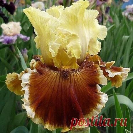 Полезно знать . Советы , Лайфаки . — Разное | OK.RU