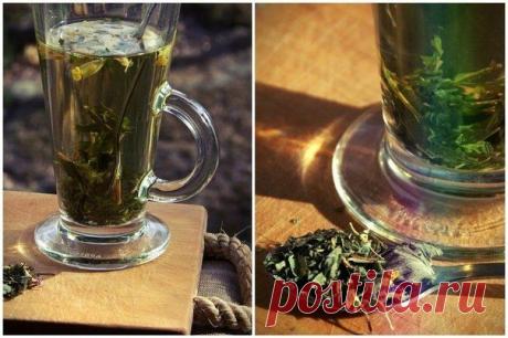 Мастопатия боится зверобоя и валерианы