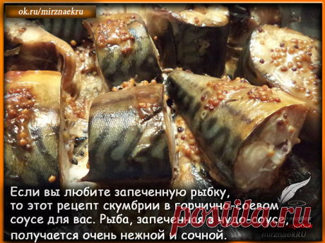 (67) Одноклассники