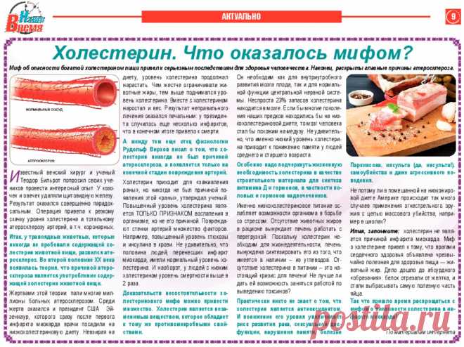 Холестерин. Что оказалось мифом