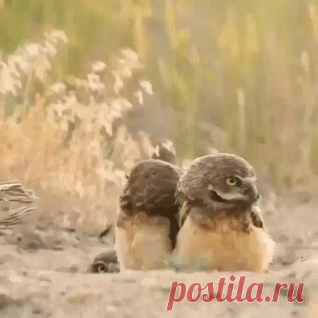 Радистка Кэт на связи!)