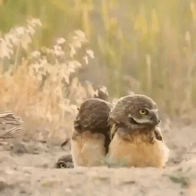 Радистка Кэт на связи!)