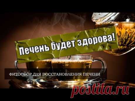 Восстановление печени | Рецепт трав для печени от фитотерапевта