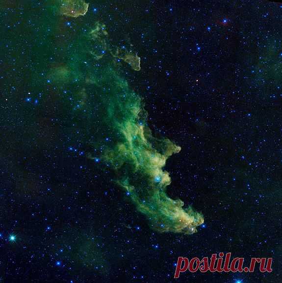 Пугающий снимок "кричащей" туманности Голова Ведьмы »