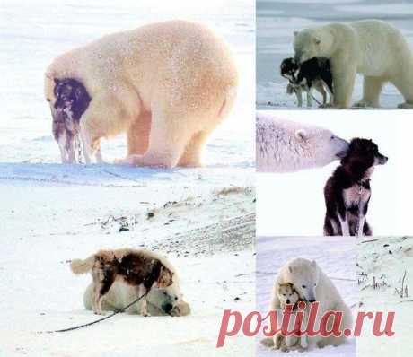 Дружба
