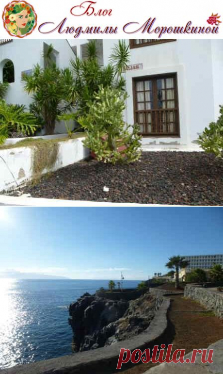 Отель Blue sea apartamentos callao garden- отзыв | Блог  Людмилы Морошкиной...